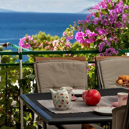 Apartmani Antonela Drašnice Exteriér fotografie